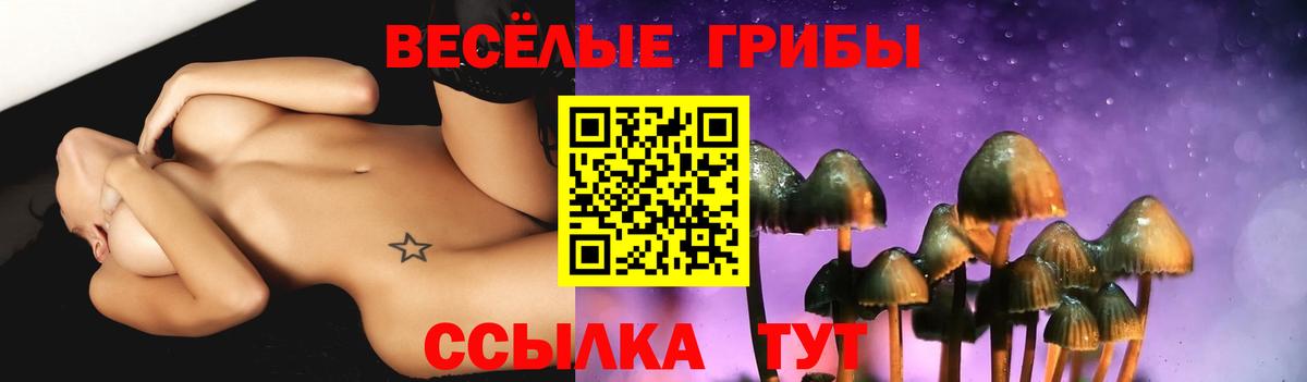 Псилоцибиновые грибы мухоморы  купить закладку  Вход с VPN  Карачаевск  Галлюциногенные грибы Psilocybine cubensis 